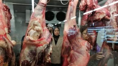 أسعار اللحوم في مصر اليوم الأحد 25 فبراير 2024