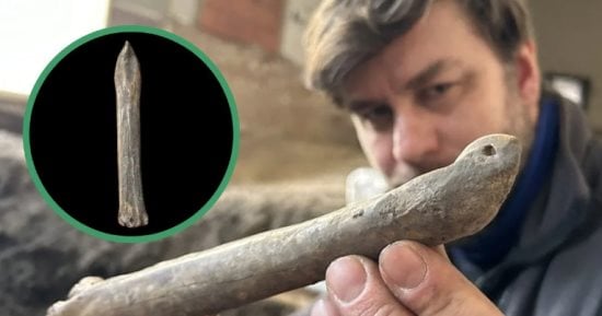العثور على زلاجة مصنوعة من عظام الحيوانات عمرها 1000 عام في التشيك